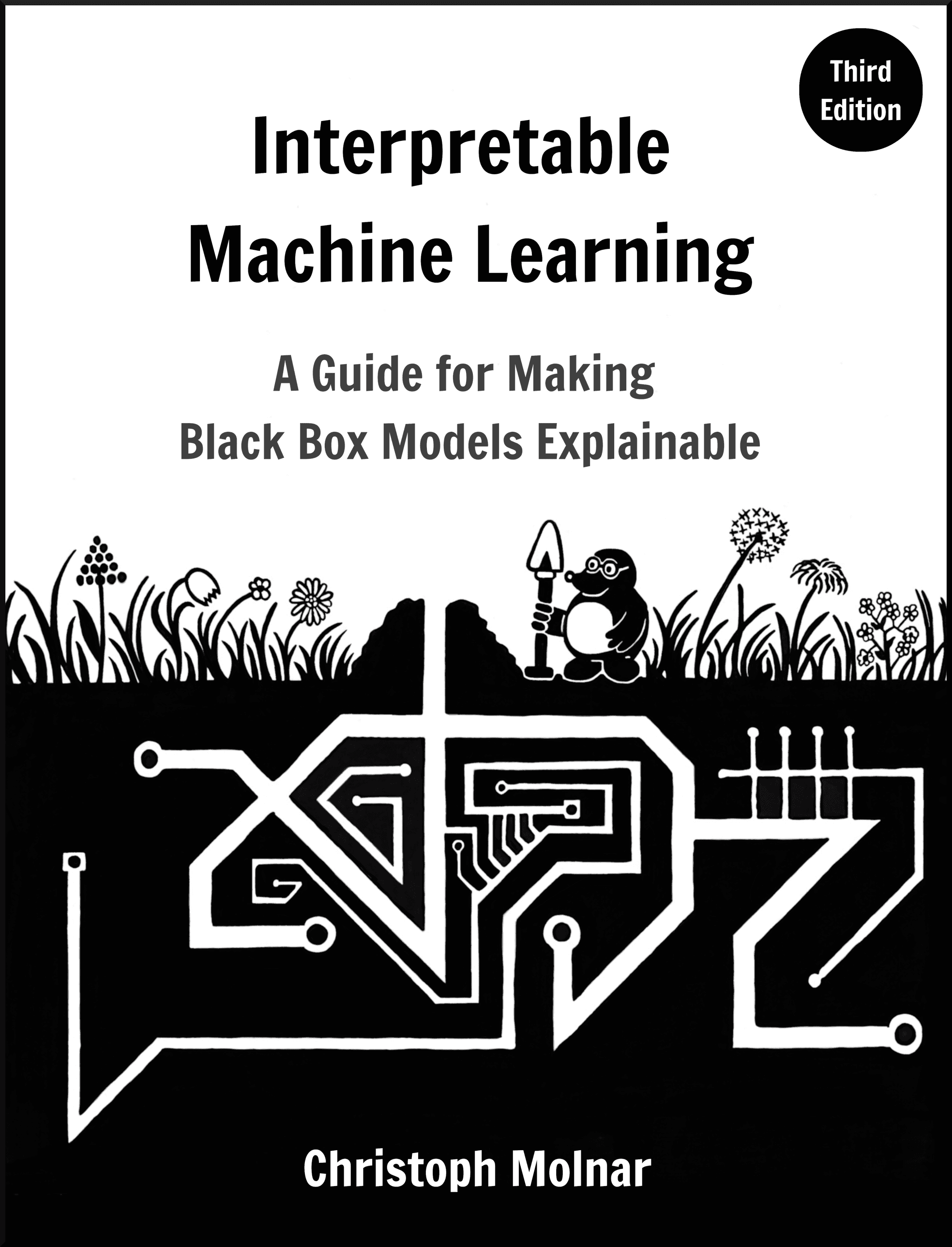 Interpretable ML — XAI의 바이블